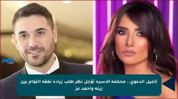 تأجيل الدعوى.. محكمة الأسرة تؤجل نظر طلب زيادة نفقة التوأم بين زينة وأحمد عز